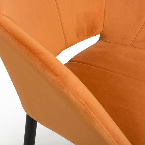 2x in a Box, Velvet Burnt Orange Dining Chair